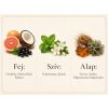 French Avenue Safari Breeze (100 ML) Extrait de Parfum